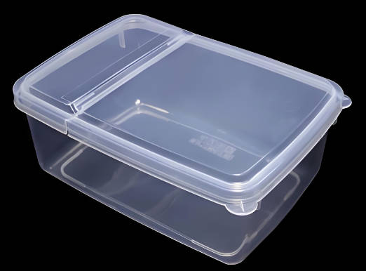 Food plastic storage box inspection