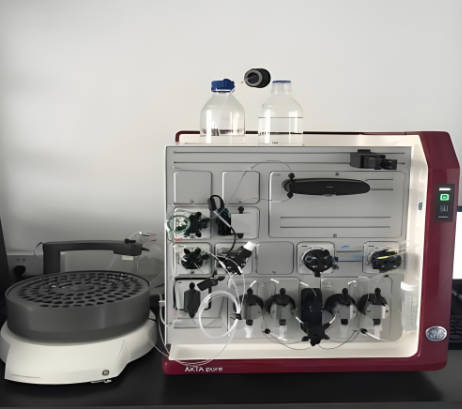 Protein synthesis and purification experiment