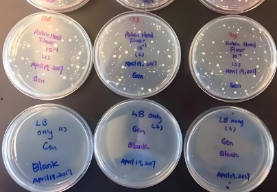 Nitrifying bacteria content testing service